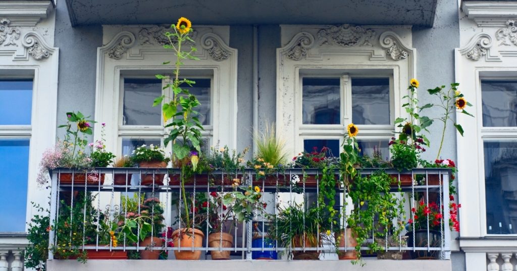 doniczki na balkon